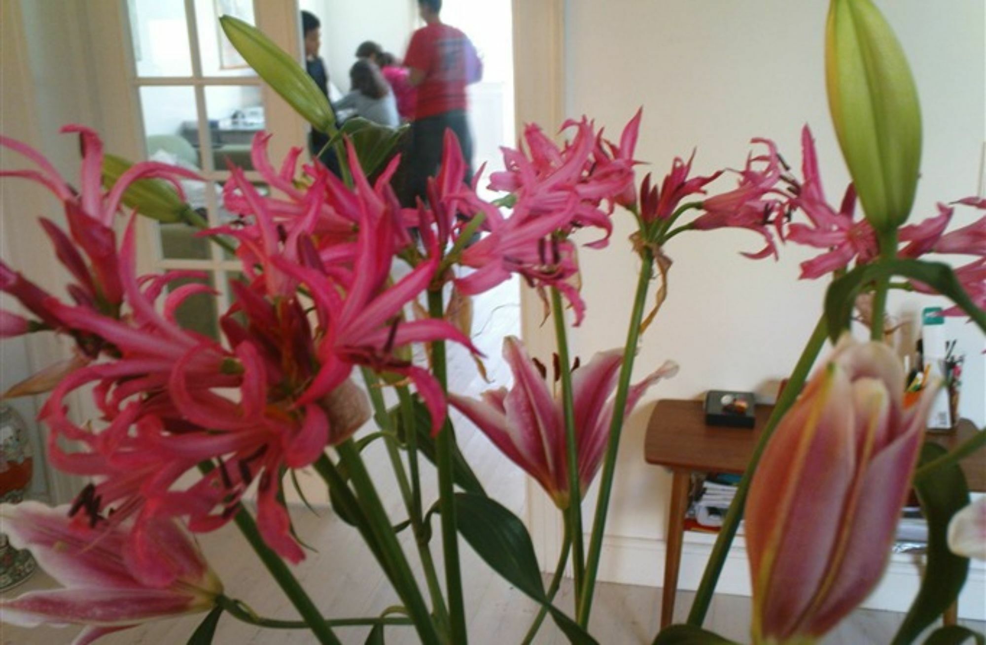 The Pea Blossom B&B โคเปนเฮเกน ภายนอก รูปภาพ